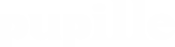 WHITE STAR LOGO